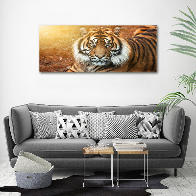 Cuadro canvas con impresión uv duradera horizontal tigre de Bengala