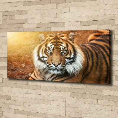Cuadro canvas con impresión uv duradera horizontal tigre de Bengala
