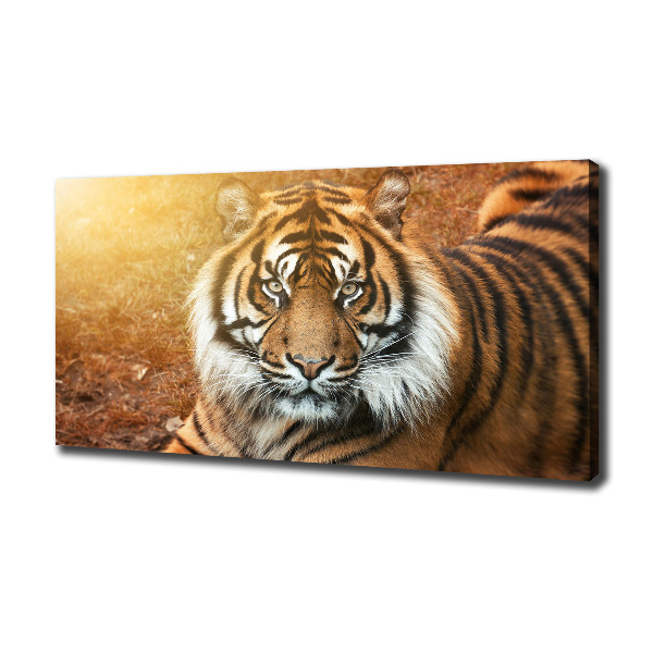 Cuadro canvas con impresión uv duradera horizontal tigre de Bengala