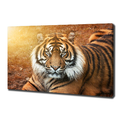 Cuadro canvas con impresión uv duradera horizontal tigre de Bengala