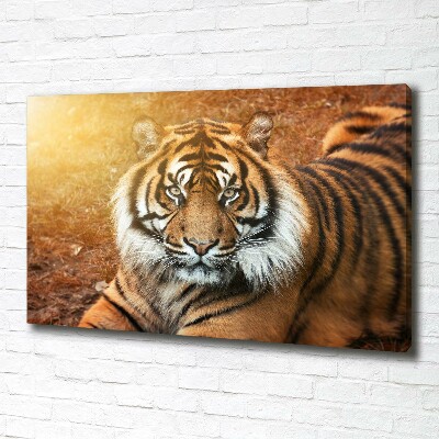 Cuadro canvas con impresión uv duradera horizontal tigre de Bengala