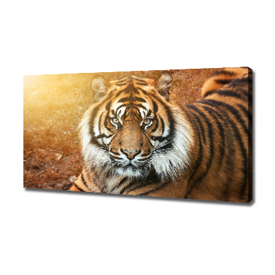 Cuadro canvas con impresión uv duradera horizontal tigre de Bengala