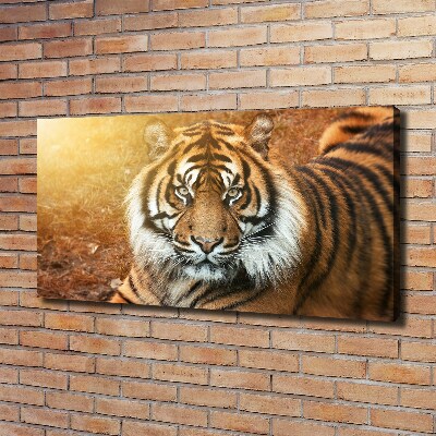 Cuadro canvas con impresión uv duradera horizontal tigre de Bengala