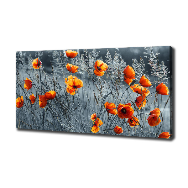 Cuadro canvas con impresión uv duradera horizontal Amapola de campo