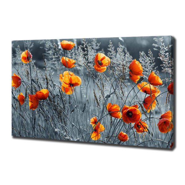 Cuadro canvas con impresión uv duradera horizontal Amapola de campo