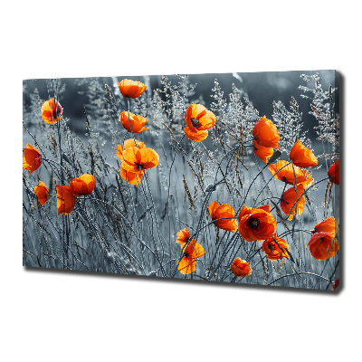 Cuadro canvas con impresión uv duradera horizontal Amapola de campo