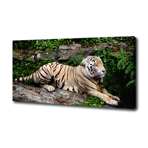 Cuadro canvas con impresión uv duradera horizontal Tigre en una roca