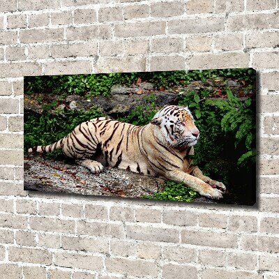 Cuadro canvas con impresión uv duradera horizontal Tigre en una roca