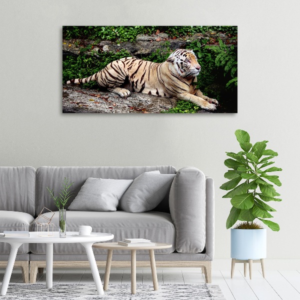 Cuadro canvas con impresión uv duradera horizontal Tigre en una roca