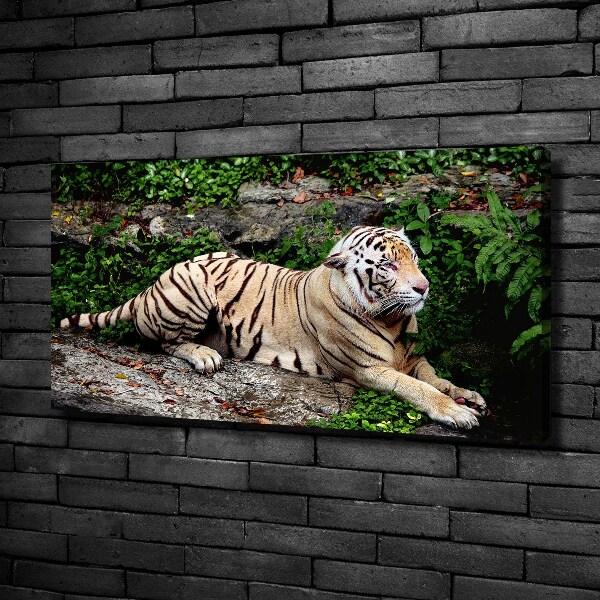 Cuadro canvas con impresión uv duradera horizontal Tigre en una roca
