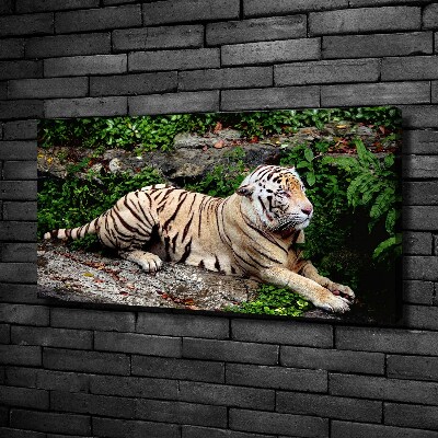 Cuadro canvas con impresión uv duradera horizontal Tigre en una roca