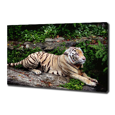 Cuadro canvas con impresión uv duradera horizontal Tigre en una roca