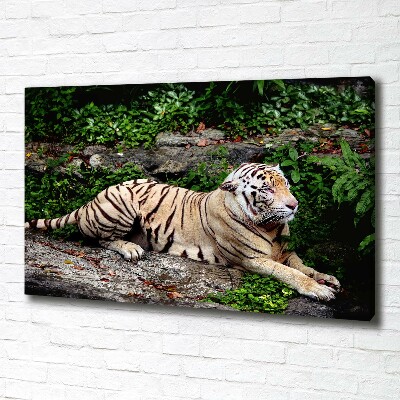 Cuadro canvas con impresión uv duradera horizontal Tigre en una roca
