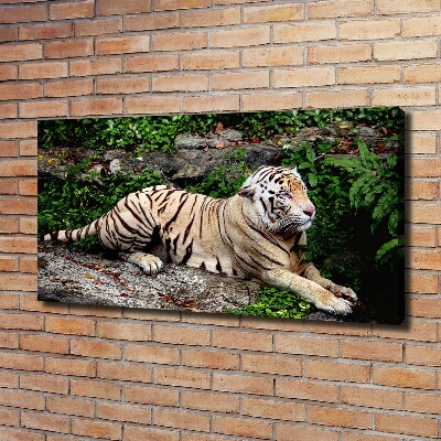 Cuadro canvas con impresión uv duradera horizontal Tigre en una roca