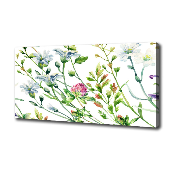 Cuadro canvas moderno de gran formato horizontal flores silvestres