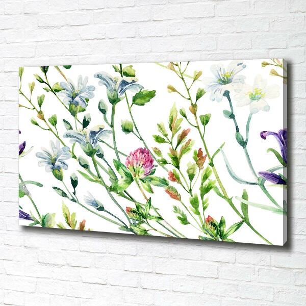 Cuadro canvas moderno de gran formato horizontal flores silvestres