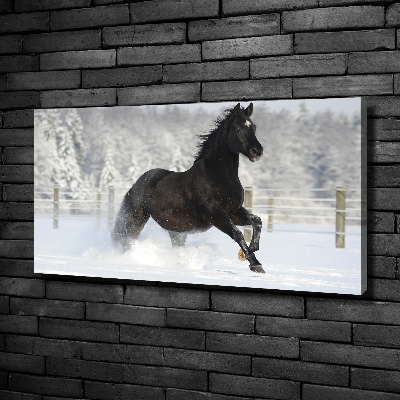 Fotocuadro en lienzo de alta calidad horizontal Un caballo galopando en la nieve