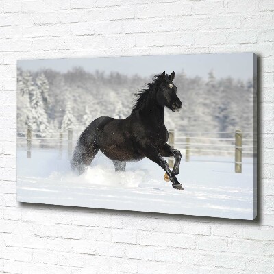 Fotocuadro en lienzo de alta calidad horizontal Un caballo galopando en la nieve