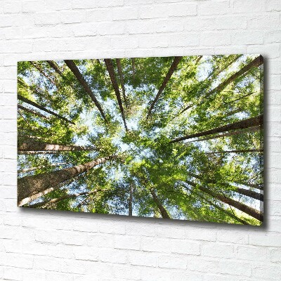 Cuadro canvas moderno de gran formato horizontal Corona del árbol