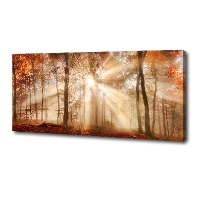 Cuadro canvas con impresión uv duradera horizontal Niebla en el bosque otoñal
