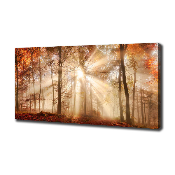 Cuadro canvas con impresión uv duradera horizontal Niebla en el bosque otoñal