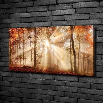 Cuadro canvas con impresión uv duradera horizontal Niebla en el bosque otoñal