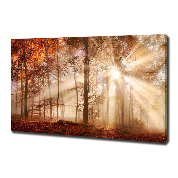 Cuadro canvas con impresión uv duradera horizontal Niebla en el bosque otoñal
