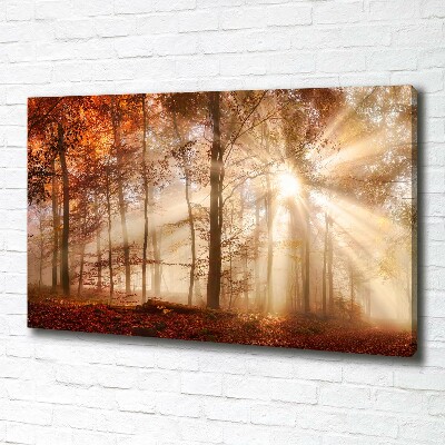 Cuadro canvas con impresión uv duradera horizontal Niebla en el bosque otoñal