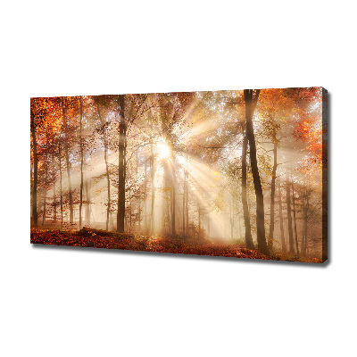 Cuadro canvas con impresión uv duradera horizontal Niebla en el bosque otoñal