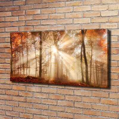 Cuadro canvas con impresión uv duradera horizontal Niebla en el bosque otoñal