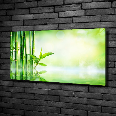 Duży foto obraz na ścianę canvas Bambus