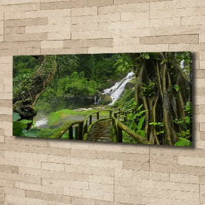 Cuadro canvas con impresión uv duradera horizontal Cascada en la selva