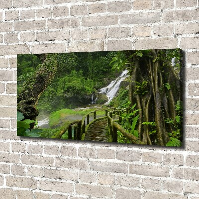 Cuadro canvas con impresión uv duradera horizontal Cascada en la selva