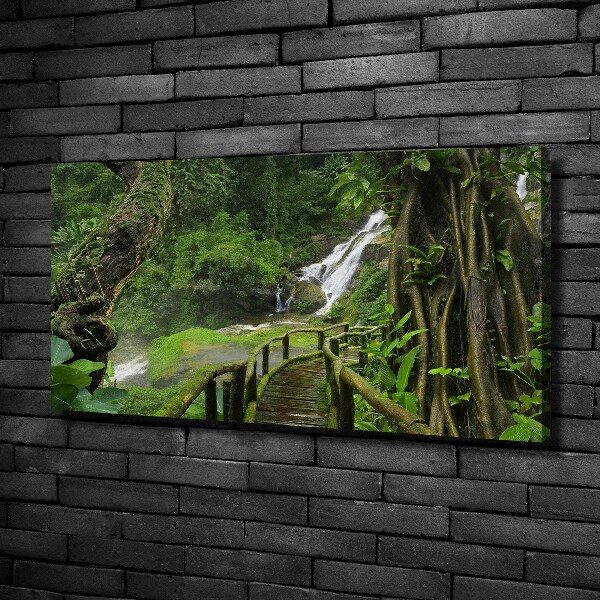 Cuadro canvas con impresión uv duradera horizontal Cascada en la selva