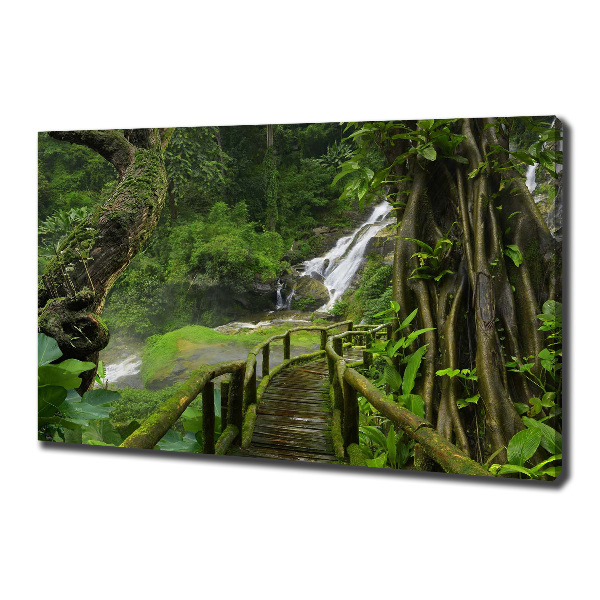 Cuadro canvas con impresión uv duradera horizontal Cascada en la selva