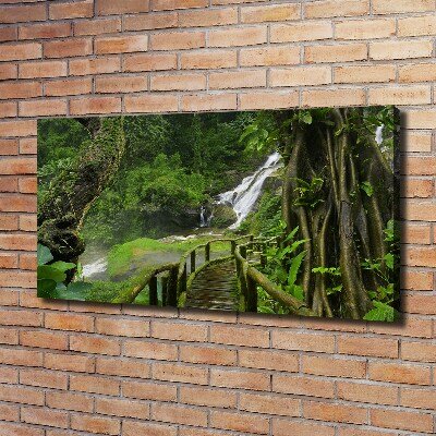 Cuadro canvas con impresión uv duradera horizontal Cascada en la selva