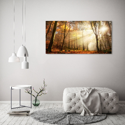 Foto en lienzo con acabado profesional horizontal Niebla en el bosque