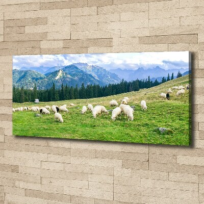 Cuadro canvas con impresión uv duradera horizontal Ovejas en los montes Tatra
