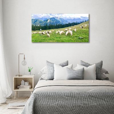 Cuadro canvas con impresión uv duradera horizontal Ovejas en los montes Tatra