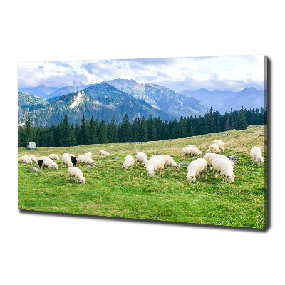 Cuadro canvas con impresión uv duradera horizontal Ovejas en los montes Tatra