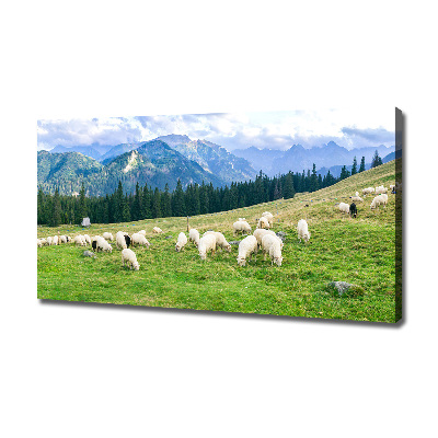 Cuadro canvas con impresión uv duradera horizontal Ovejas en los montes Tatra