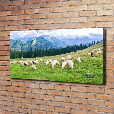Cuadro canvas con impresión uv duradera horizontal Ovejas en los montes Tatra