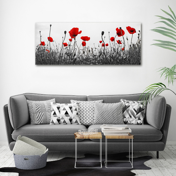 Fotocuadro en lienzo de alta calidad horizontal Amapolas