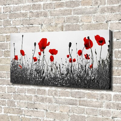 Fotocuadro en lienzo de alta calidad horizontal Amapolas