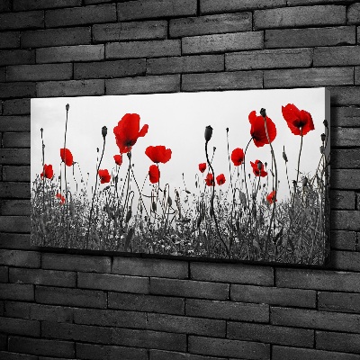 Fotocuadro en lienzo de alta calidad horizontal Amapolas