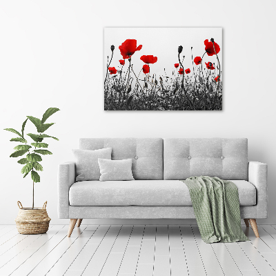 Fotocuadro en lienzo de alta calidad horizontal Amapolas