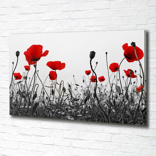 Fotocuadro en lienzo de alta calidad horizontal Amapolas