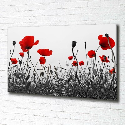 Fotocuadro en lienzo de alta calidad horizontal Amapolas