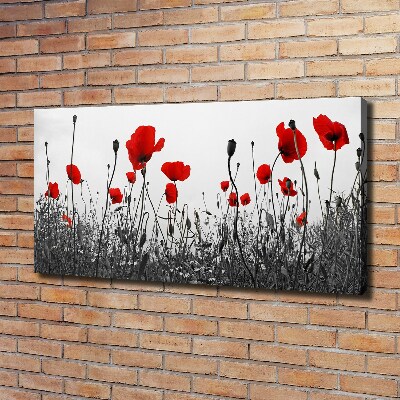 Fotocuadro en lienzo de alta calidad horizontal Amapolas