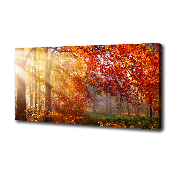 Cuadro canvas moderno de gran formato horizontal Bosque de otoño